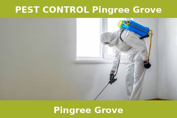 PEST CONTROL Pingree Grove